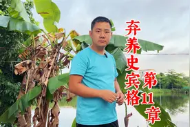 一条扑鸡咬鸡的狗，经过训犬师训练终于不再咬鸡了，视频全程记录