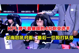 KPL脾气最暴躁的4位职业选手，花海怒吼对面，最后一位殴打队员