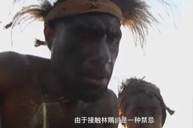 与死神：东南亚一种鸟象征邪恶，一旦误食，就会毙命