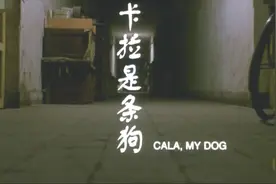 怀旧影视：2003年华谊兄弟太合影视公司拍摄的《卡拉是条狗》