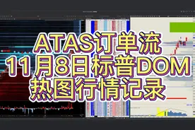 ATAS订单流11月8日标普DOM热图记录视频封面