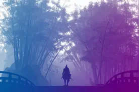 只狼摄影mod安装