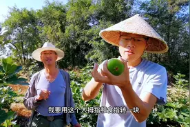 山东威海这家无花果秋果最好吃，甜的齁嗓子，却为何成熟这么晚？