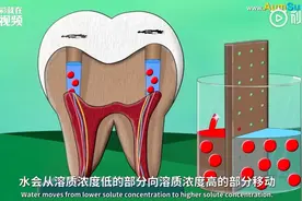 为什么吃完糖就会牙疼？来听一听科学的解释~视频封面