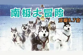 2006年美国电影《南极大冒险》保罗沃克与雪橇犬们的感人故事视频封面