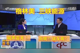 格林美，三峡能源，呼声上的巨人，行动上的矮子视频封面