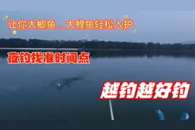 原来夏季夜钓这么简单，找准2个时间点，大鲫鱼大鲤鱼轻松入护视频封面