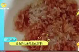 红色大米是怎么回事？你吃的可能是未经加工的糙米，花青素含量高