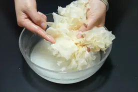 原来泡发银耳这么简单，水里撒一把，5分钟泡开又大又软