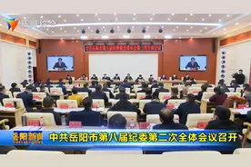 中共岳阳市第八届纪委第二次全体会议召开视频封面