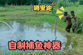 小哥自制捕鱼神器，在荒废10年的池塘里抓鱼，效果超级强，真牛视频封面