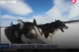 江苏扬州人狗拉雪橇穿越极地，让我们一起跟随他，领略北极风光视频封面