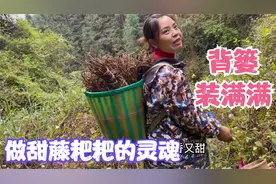 做甜藤粑粑好吃的关键，娜姐和雨锅找到一大片，土法收藏你见过吗