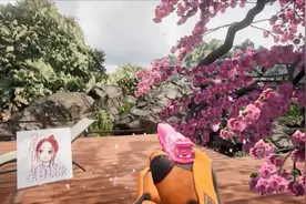 17岁男生自学一月程序编写，独自开发自制cs go，创造追星新姿势