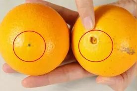 挑选橙子有窍门，记住这几个地方，轻松挑出皮薄又甜的好橙子