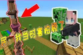 我的世界模组：万物皆可抱！村民叠罗汉遇到苦力怕，会发生什么？