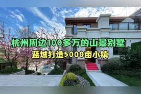 杭州周边别墅100万.小镇占地5000亩.度假养老首选.70年产权不限购视频封面