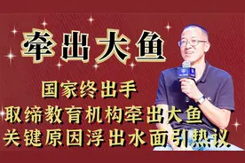 国家终出手！取缔教育机构牵出幕后黑手？关键原因浮出水面引争论视频封面