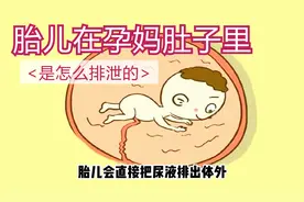 胎宝宝在孕妈肚子里是怎么排泄的