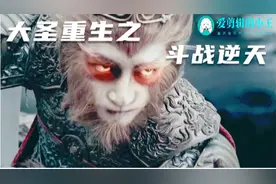 《大圣归来》我若佛天下无魔，我若成魔天奈我何视频封面