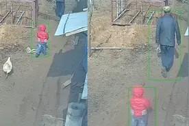 一萌娃被鸡啄哭，爷爷转身回来一脚制服，网友：起锅烧油视频封面