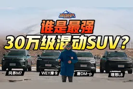 插电和增程打起来了！唐DM-p、理想L8...这4款30W级混动SUV谁更强