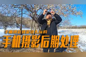 手机摄影我是这样做后期的，发个朋友圈或做个视频封面足够用了视频封面