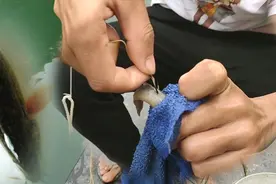 捕鱼十几年的农村小伙，排钓钩这样挂泥鳅，野货少不了