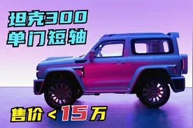 坦克300或出单门短轴版，4.4米左右，2.0T+8AT，售价不足15万！