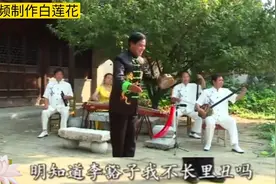 夏金亭演唱南阳大调曲李豁子离婚 真好听