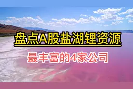 盘点A股盐湖提锂资源最丰富的4家公司，但论潜力我最看好第二家视频封面