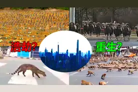 世界正在巨变？当人类隔离在家的时候，这些意外出现让人难以相信