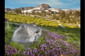 20首二胡伴奏 懷舊老歌曲