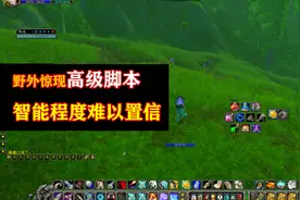 魔兽世界怀旧服：你见过这样的脚本么，网易能检测的到么？