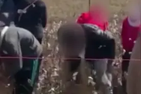 美国小学教黑人学生摘棉花 唱“奴隶歌” 学生家长气到落泪！