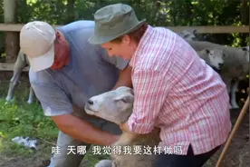 料理狂人：羊也需要修剪指甲和羊脚，你知道吗？看看涨点知识！