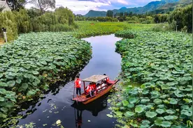 从西安开车两个小时，这个秦岭古镇的荷塘美景可以看到深秋视频封面