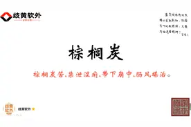 弘扬中医文化每日一中药：183、棕榈炭视频封面