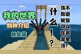 你知道我的世界鱿鱼的所以知识吗？我的世界物种介绍之鱿鱼篇