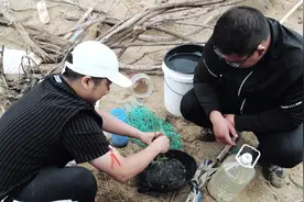 荒岛求生挑战赛 海水中如何提炼食用盐 玩户外没点文化还真不行
