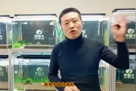 水晶虾养殖水的ph值与硬度