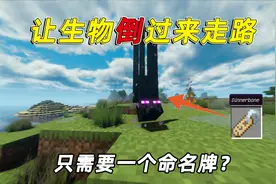 我的世界：老玩家都不会的技巧，让生物倒着走，只需一个命名牌？