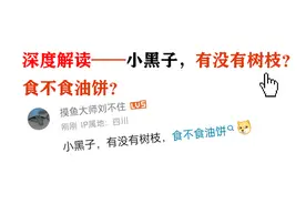 ikun解读：小黑子，有没有树枝？食不食油饼？