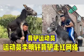 背驴运动员，驴这辈子也没想到会骑到人身上，猛男李明轩背驴走红视频封面