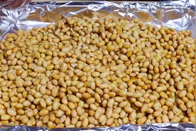 45岁老师傅教你自制豆豉，做法配方告诉你，比老干妈还下饭！