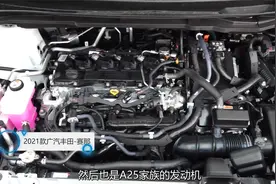 赛那：没有吸能盒全塑料尾门，这就是花40多万买的