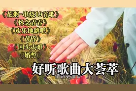 《花粥-串烧19首歌》《怀念青春》《黄昏》《回头太难》《婚誓》