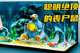 模型制作：德国发生的黑死病，竟意外造就了丧尸鼠的存在！