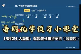 暑期化学预习系列：18超强七大题型：弱酸酸式根拆不拆（题型四）