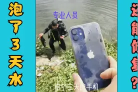 在鱼塘里“泡水3天”的iPhone12还能修好吗？视频封面